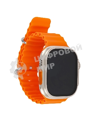 Умные часы BOROFONE (6941991100284) BD3 Gold