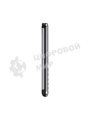 Мобильный телефон Maxvi X10i серебристый металлик