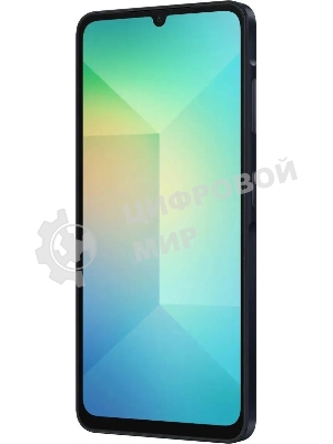 Смартфон Samsung Galaxy A06 SM-A065F 4/64Gb черный