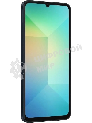 Смартфон Samsung Galaxy A06 SM-A065F 4/64Gb черный