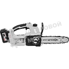 Цепная пила ИНТЕРСКОЛ ПЦА-10/18В 696.4.1.70 18V