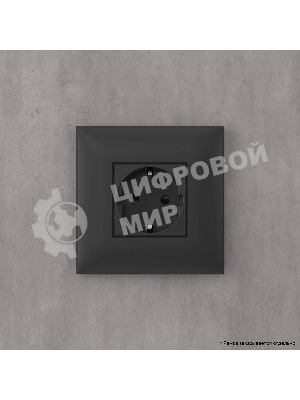 Розетка DKC Avanti 4412003 2P+E со шторками, 