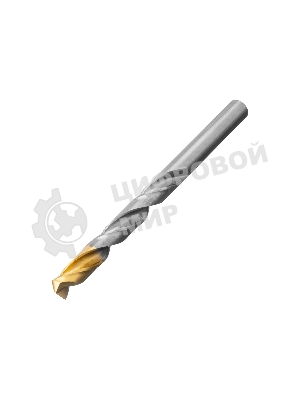 Набор сверл по металлу Denzel 1-10 мм, Р6М5-TiN, Golden Tip, 19 шт