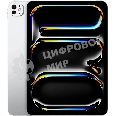 Планшет Apple iPad Pro 2024 A2836 11