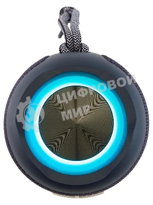 Портативная колонка Hyundai H-PAC610, 20Вт, темно-синий