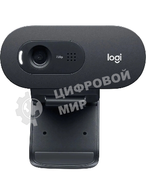 Веб-камера Logitech C505e 1280x720, 30 кадр/с, USB Type-A, микрофон (шумоподавление), автоосвещение, универсальное крепление