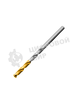 Набор сверл по металлу Denzel 1-10 мм, Р6М5-TiN, Golden Tip, 19 шт