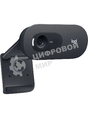Веб-камера Logitech C505e 1280x720, 30 кадр/с, USB Type-A, микрофон (шумоподавление), автоосвещение, универсальное крепление