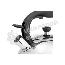 Чайник для плиты металлический Lara LR00-64, (матовый) 4 л, автоподъем крышки, индукционное капсулированное дно, нейлон. ручка