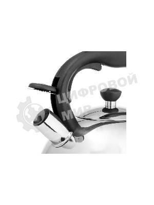 Чайник для плиты металлический Lara LR00-64, (матовый) 4 л, автоподъем крышки, индукционное капсулированное дно, нейлон. ручка