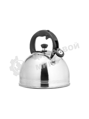 Чайник для плиты металлический Lara LR00-64, (матовый) 4 л, автоподъем крышки, индукционное капсулированное дно, нейлон. ручка