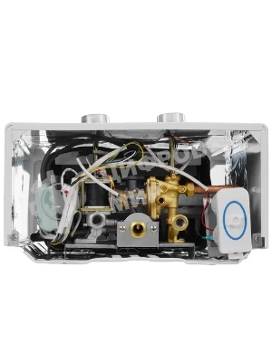 Колонка газовая Thermex G 20 D Eco белый