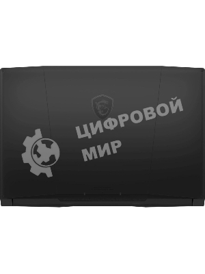 Ноутбук MSI Katana 17 B13UCR-1612XRU Intel Core i5-13420H/16Gb/SSD1Tb/RTX3050 4Gb/17.3