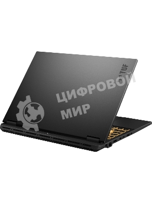 Ноутбук ASUS TUF Gaming F16 FX608JPR-RV048/16