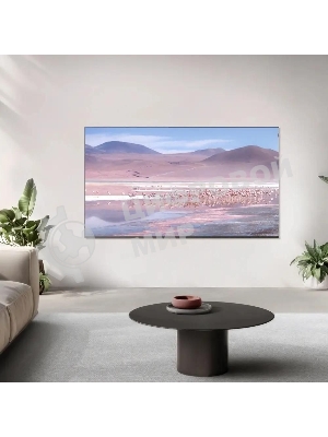 Телевизор TCL 43