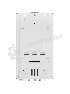 Колонка газовая Thermex G 20 D Eco белый