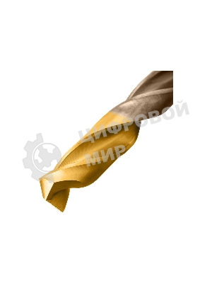 Набор сверл по металлу Denzel 1-10 мм, Р6М5К8-TiN, Golden Tip, 10 шт