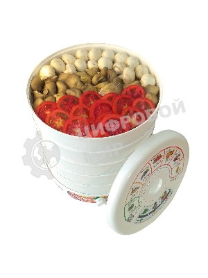 Сушилка для овощей и фруктов Renova DVN31-500/5(R)