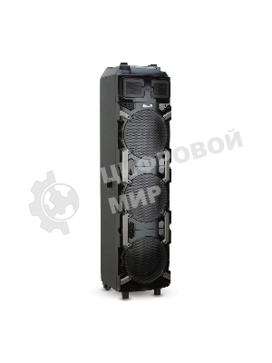 Колонка Eltronic 10