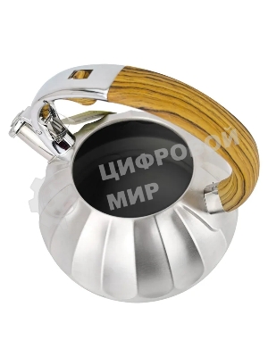 Чайник для плиты ALBERG AL-3066