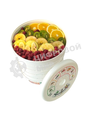 Сушилка для овощей и фруктов Renova DVN31-500/5(R)