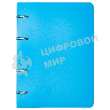 Тетрадь на кольцах Silwerhof 1848212 80 листов, клетка, A5, пластик кольца голубой