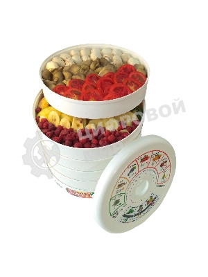 Сушилка для овощей и фруктов Renova DVN31-500/5(R)