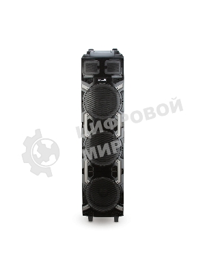 Колонка Eltronic 10