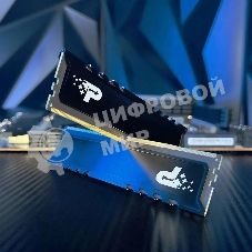 Оперативная память Patriot Signature Premium, DDR5, 64Gb (2x32 Gb), 4800 MHz, CL40, DIMM, радиатор, черный