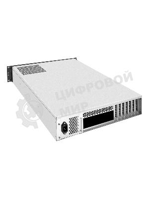 Серверная платформа ExeGate EX293875RUS Pro 2U650-06/2U2098L (RM 19