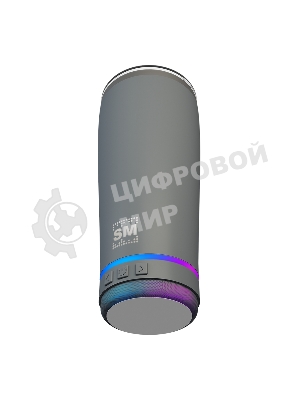 Термокружка с портативной колонкой Soundmax SM-TC001 серый
