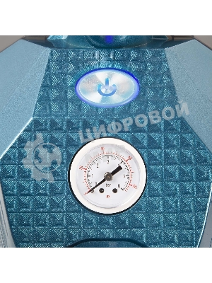 Отпариватель Bort Pro Iron голубой, 2500 Вт, 95 г/мин, 3800 мл