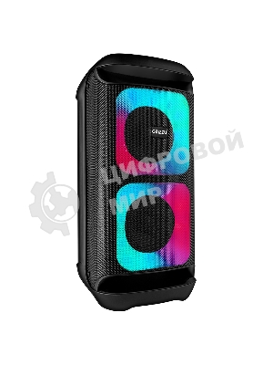 Портативная колонка GINZZU GM-113