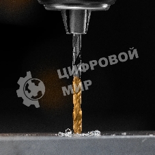 Сверло спиральное по металлу Denzel 3,5 x 70мм, Р6М5, Golden Tip, многогранная заточка, 2 шт.