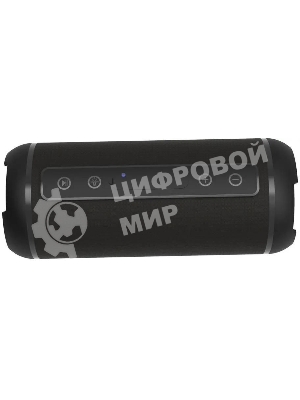 Портативная колонка Ritmix SP-320B черный