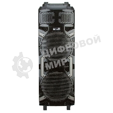 Колонка Eltronic 10