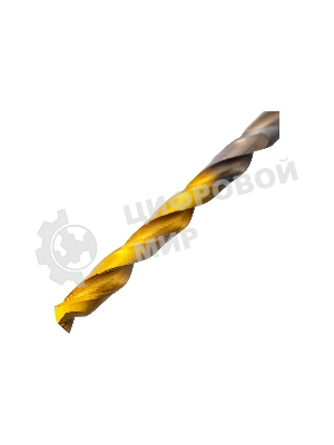 Набор сверл по металлу Denzel 1-10 мм, Р6М5К8-TiN, Golden Tip, 19 шт