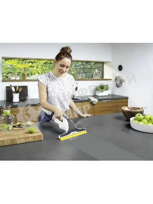 Стеклоочиститель Karcher WV 6 Plus белый
