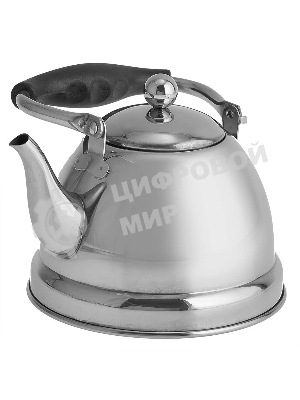 Чайник для плиты ALPENKOK AK-542 1 л