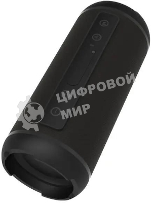 Портативная колонка Ritmix SP-320B черный