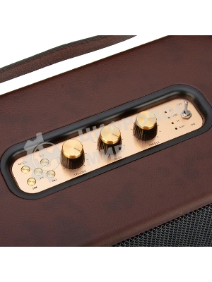 Колонка Eltronic MONSTER BOX 850 (30-15) TWS (коричневый)