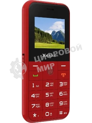 Мобильный телефон Xenium X718 красный