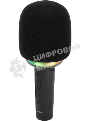 Микрофон беспроводной Hyundai H-MIC100 черный