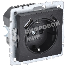 Розетка 1-местная IEK BRITE РЮш11-1-БрЧ (BR-R14-16-U22-018-K02) с заземлением, с защитными шторками, 16А, с USB A+C 18В т, черный