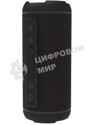 Портативная колонка Ritmix SP-320B черный
