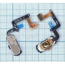 Кнопка HOME в сборе с механизмом и шлейфом для Samsung A320, золотая