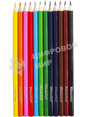 Карандаши цветные Silwerhof Eco 2.65 мм, шестигранный профиль, дерево, ассорти, 12 цветов, коробка с европодвесом