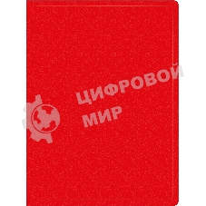 Папка с 40 прозрачными вкладками Silwerhof Eco A4, пластик, 0.5мм, красный