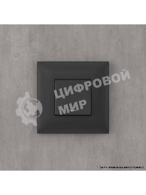 Рамка DKC Avanti 4412902 1 пост (2 мод.) 