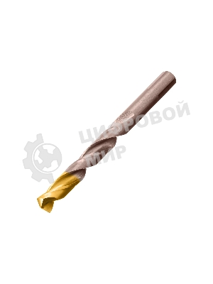 Набор сверл по металлу Denzel 1-13 мм, Р6М5К8-TiN, Golden Tip, 25 шт